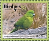 Antipodes Parakeet Cyanoramphus unicolor