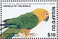 Jandaya Parakeet Aratinga jandaya  2018 Birds of the world  MS