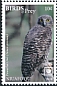 Powerful Owl Ninox strenua  2018 Birds of prey White frames