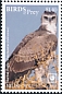 Martial Eagle Polemaetus bellicosus  2018 Birds of prey White frames