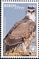 Martial Eagle Polemaetus bellicosus