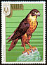 Peregrine Falcon Falco peregrinus