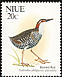 Buff-banded Rail Hypotaenidia philippensis  1992 Birds 