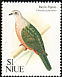 Pacific Imperial Pigeon Ducula pacifica  1992 Birds 