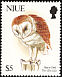 Eastern Barn Owl Tyto javanica  1992 Birds 