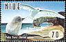White Tern Gygis alba  1998 Coastal birds 