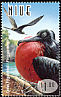 Great Frigatebird Fregata minor