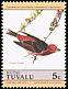 Purple Finch Haemorhous purpureus  1985 Audubon 