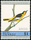 Bullock's Oriole Icterus bullockii