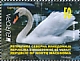 Mute Swan Cygnus olor  2021 Europa 4v booklet