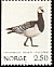 Barnacle Goose Branta leucopsis