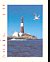 Common Tern Sterna hirundo  1997 Lighthouse Booklet