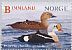 King Eider Somateria spectabilis  2015 Birds sa