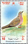 Eurasian Collared Dove Streptopelia decaocto  2002 Birds in Oman Sheet