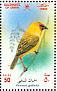 Rüppell's Weaver Ploceus galbula  2002 Birds in Oman Sheet