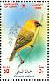 Rppell's Weaver  Ploceus galbula