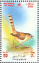 Graceful Prinia Prinia gracilis  2002 Birds in Oman Sheet