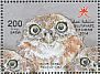 African Scops Owl Otus senegalensis  2014 Wildlife in Oman  MS MS MS MS MS