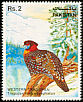 Western Tragopan Tragopan melanocephalus  1981 Wildlife protection 