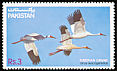 Siberian Crane Leucogeranus leucogeranus  1983 Wildlife protection 