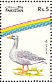 Greylag Goose Anser anser  1992 Water birds Strip, different background
