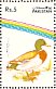 Mallard Anas platyrhynchos  1992 Water birds Strip, different background