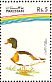 Common Shelduck Tadorna tadorna  1992 Water birds Strip, different background