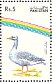 Greylag Goose Anser anser  1992 Water birds Strip, different background