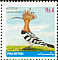 Eurasian Hoopoe Upupa epops  2001 Birds 