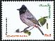 Red-vented Bulbul Pycnonotus cafer