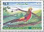 Golden Pheasant Chrysolophus pictus  2016 Child art competition 8v set