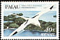 White-tailed Tropicbird Phaethon lepturus  1984 Birds 