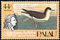 Audubon's Shearwater Puffinus lherminieri  1985 Audubon 