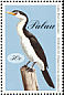 Little Pied Cormorant Microcarbo melanoleucos  1994 Sea birds 