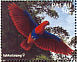 Moluccan Eclectus Eclectus roratus  1996 Birds over the Palau lagoon Sheet