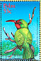 Red-bearded Bee-eater Nyctyornis amictus