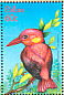 Rufous-backed Dwarf Kingfisher Ceyx rufidorsa