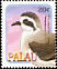 White-faced Storm Petrel Pelagodroma marina  2002 Birds 