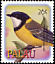 Australian Golden Whistler Pachycephala pectoralis