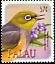 Silvereye Zosterops lateralis