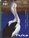 Australian Pelican Pelecanus conspicillatus  2011 Seabirds Sheet