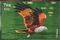 Brahminy Kite Haliastur indus