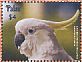 Sulphur-crested Cockatoo Cacatua galerita