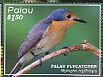 Palau Flycatcher Myiagra erythrops