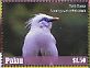 Bali Myna Leucopsar rothschildi  2018 Colorful birds of the world Sheet