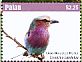 Lilac-breasted Roller Coracias caudatus