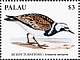 Ruddy Turnstone Arenaria interpres