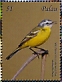 Western Yellow Wagtail Motacilla flava  2018 Beautiful birds Sheet