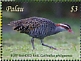 Buff-banded Rail Hypotaenidia philippensis  2018 Beautiful birds Sheet