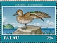 Eurasian Teal Anas crecca  2018 Pacific Waterfowl Sheet